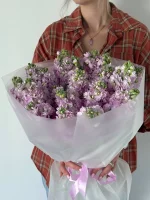 Монобукет из одноголовых маттиол