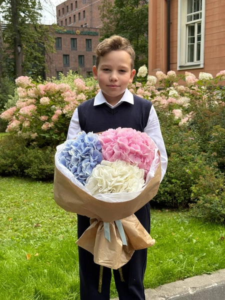 Букет из гортензий, подарок мальчика, цветы, природа, поздравление.