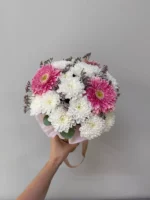 Невысокий букет белых и розовых хризантем, подарочный, свежие цветы для праздника.
