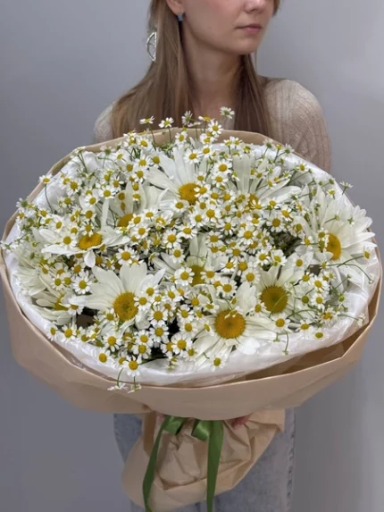 Букет их кустовых и одноголовых ромашек